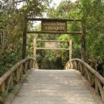 KHU DI TÍCH XẺO QUÝT – ĐIỂM ĐẾN LỊCH SỬ ĐẶC SẮC GIỮA RỪNG TRÀM ĐỒNG THÁP MƯỜI